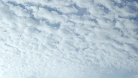Sunny Blue Sky Fully Covered with Puffy Cumulus White Clouds on a Good Weather S Stock Footage 233570908