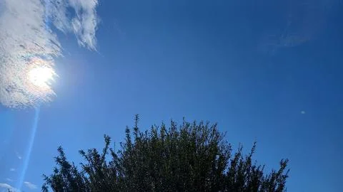 Sunny Blue Sky with Wispy Clouds and Trees 스톡 사진