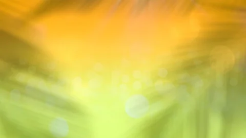 Sunny bright light with bokeh bubbles background 스톡 동영상 111938484