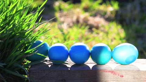 Sunny bunny shines on easter eggs. Stock Footage 145215084