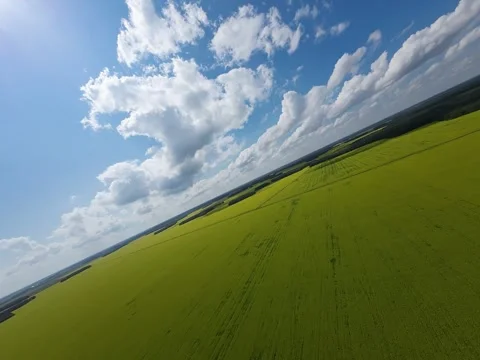 Sunny Clouds Video stock 313295556