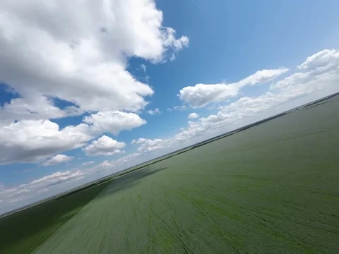 Sunny Clouds Video stock 313295560