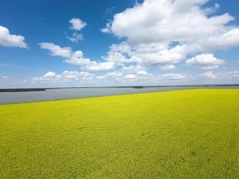 Sunny Clouds Video stock 313295566