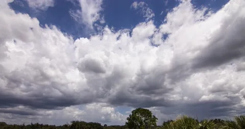 Sunny to Cloudy (3240p 23.976) Video stock 203777808