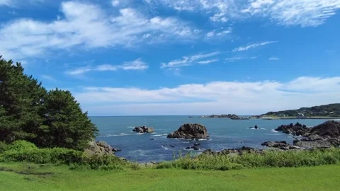 Sunny coast 動画素材 313334731