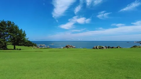 Sunny coast 動画素材 313334732