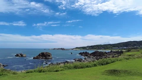 Sunny coast 動画素材 313334736