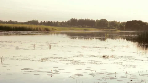 Sunny Countryside Evening by the River Stock Footage 36087467