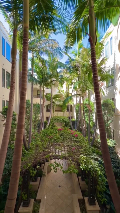 Sunny Courtyard with Tall Palm Trees and Pergola Video stock 340263867