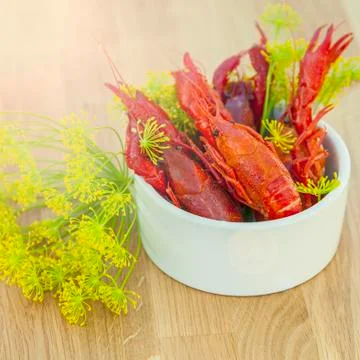 Sunny crayfish 写真素材
