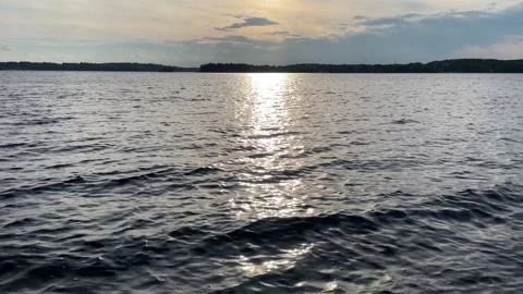 Sunny dark lake. Stock Footage 256105982