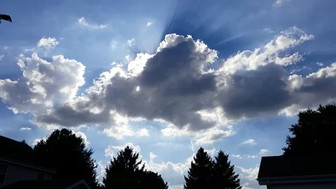 Sunny day #1 Stock Footage 95097606