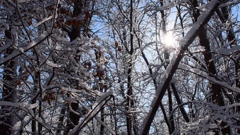 A sunny day after snowfall - 2 Stock Footage 108235703