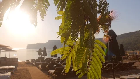 Sunny day on the beach Stock Footage 106392175