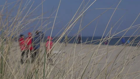 Sunny day on the beach Stock Footage 153621077