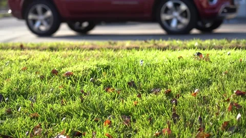 A sunny day of early fall in a small town. Stock Footage 246823200