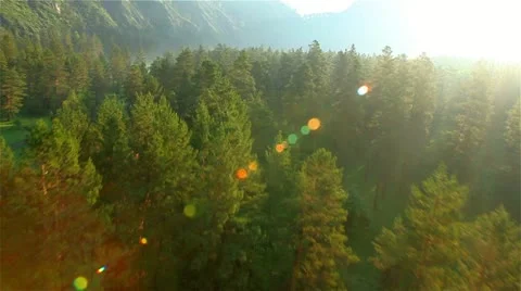 Sunny day in the fall Stock Footage 12554659