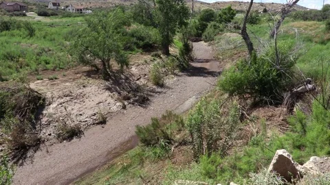 Sunny day Flashflood Stock Footage 78770449