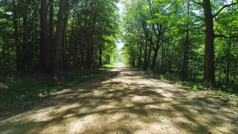Sunny Day Flying Through a Forested Dirt Road in the Country Side Video stock 150344518