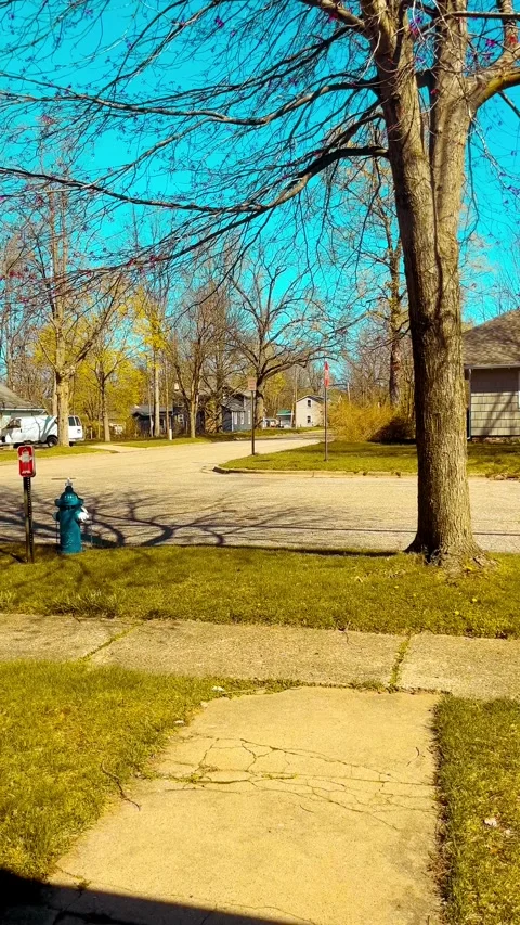 Sunny day Stock Footage 279521028