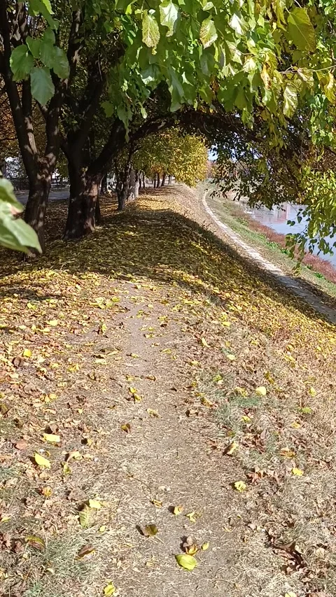 Sunny day Video stock 290110499