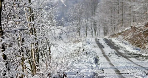 Sunny day at forest covered in snow. Little snow flakes falling from the trees. Stock-Footage 84331329