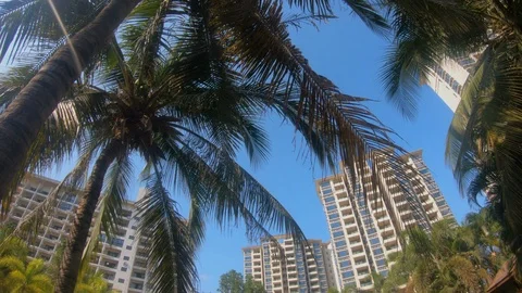 A sunny day illuminates Stock Footage 127005565