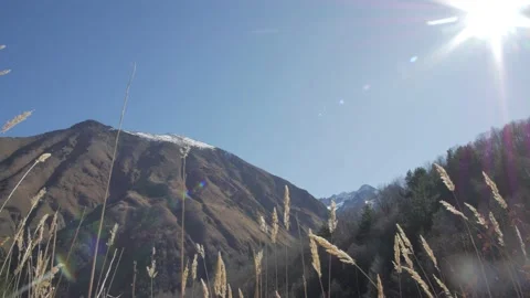 Sunny day in mountain. Stock Footage 154153488