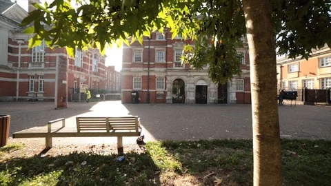 Sunny day outside Stock Footage 104685046