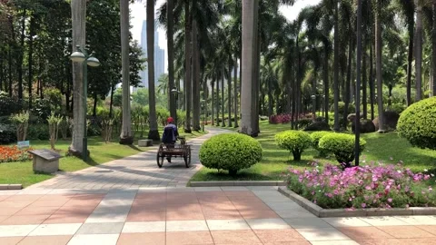 Sunny day in the park Stock Footage 136184536