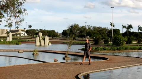 Sunny Day at Park Stock Footage 150953158