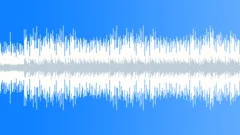 Sunny Day Pickers (loop) Stock Music
