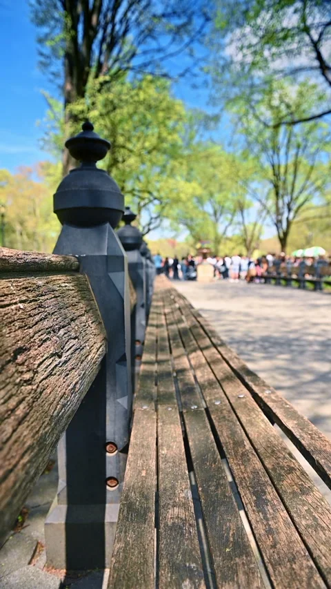 Sunny day relaxation in NYC.  Stock Footage 314979901
