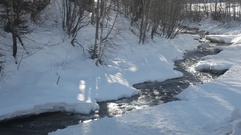 Sunny day with river Stock Footage 46127873