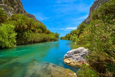 Sunny day at river stream and palm tree forest, Preveli, Crete, Greece Stock Photos