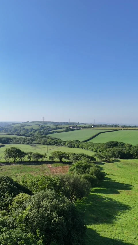 Sunny Day in Rural Fields with Trees - Vertical Video Footage Stock Footage 276682530