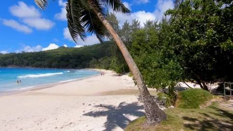 Sunny day in the seychelles. Stock Footage 101828011