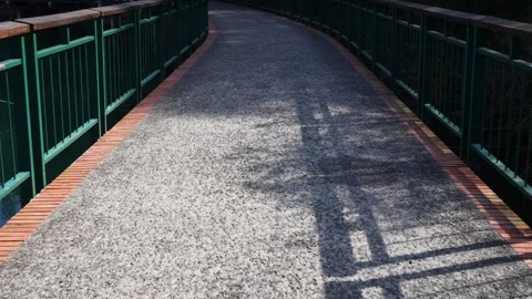 Sunny Day Shadow Patterns on a Serene Park Bridge Stock Footage 265745983