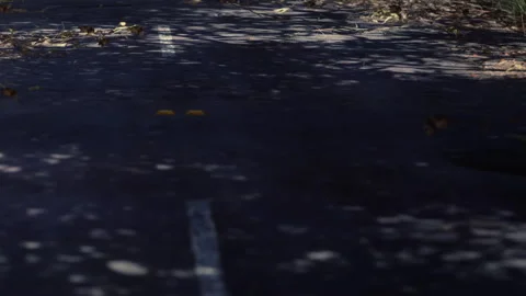 Sunny day with shadows on an empty road with fallen leaves and branches Stock Footage 340234003