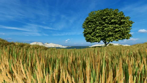 Sunny day with single tree in the meadow Video stock 136516388