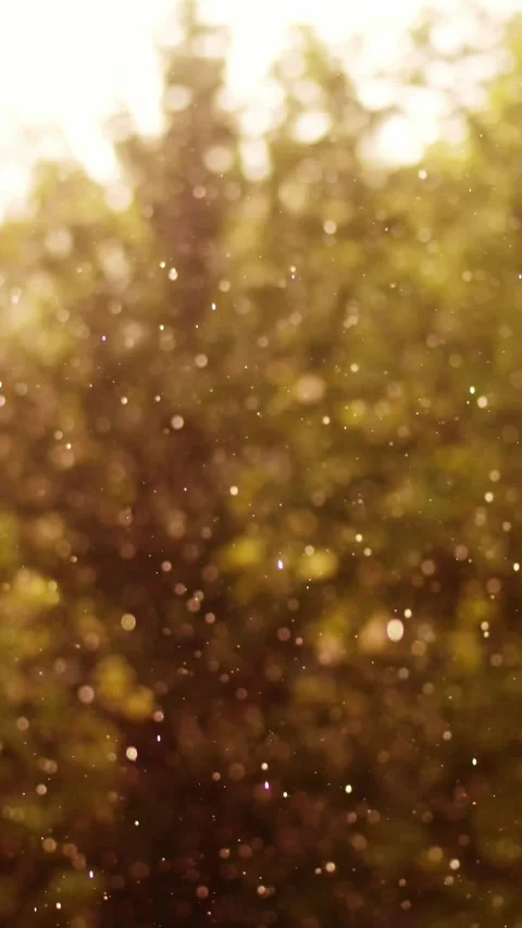 On sunny day is thunderstorm, strong wind and rain with hail. focus on rain Stock Footage 310183352