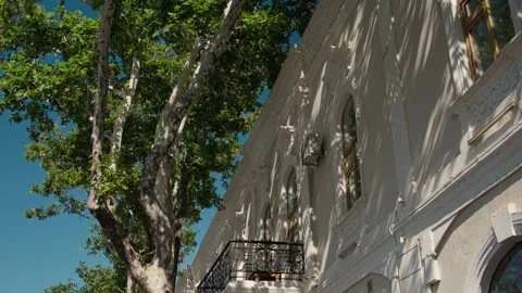 Sunny Day View of Tree and Historic Building Facade with Balcony Stock Footage 338244039