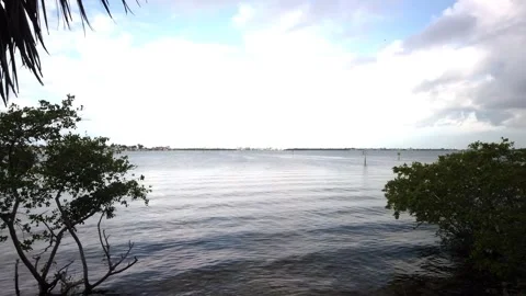 Sunny day wide angle view of bay blue sky with white clouds. Green trees Stock Footage 242819142