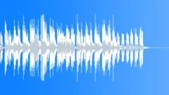 Sunny Days Intro Version 4Stock Music