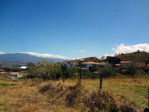 Sunny days Stock Photos