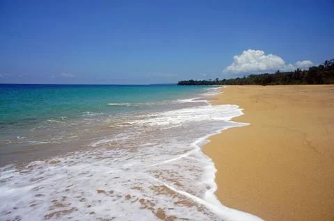 Sunny days Stock Photos