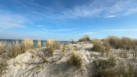 Sunny dunes with dune grass: peaceful coastline of Graal-Mritz, Germany. Stock Footage 315663853