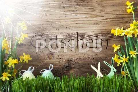 Sunny Easter Decoration, Gras, Gutschein Means Voucher Stock Photos