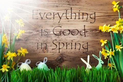 Sunny Easter Decoration, Gras, Text Everything Is Good In Spring Stock Photos