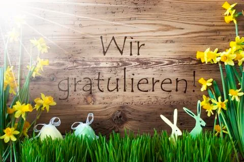 Sunny Easter Decoration, Grass, Wir Gratulieren Means Congratulations Stock Photos